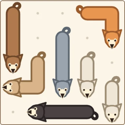 Cats face different directions in a small Zoomdoku room.